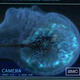Image for article titled 12 Movies and TV Shows That Commit Crimes Against Neuroscience